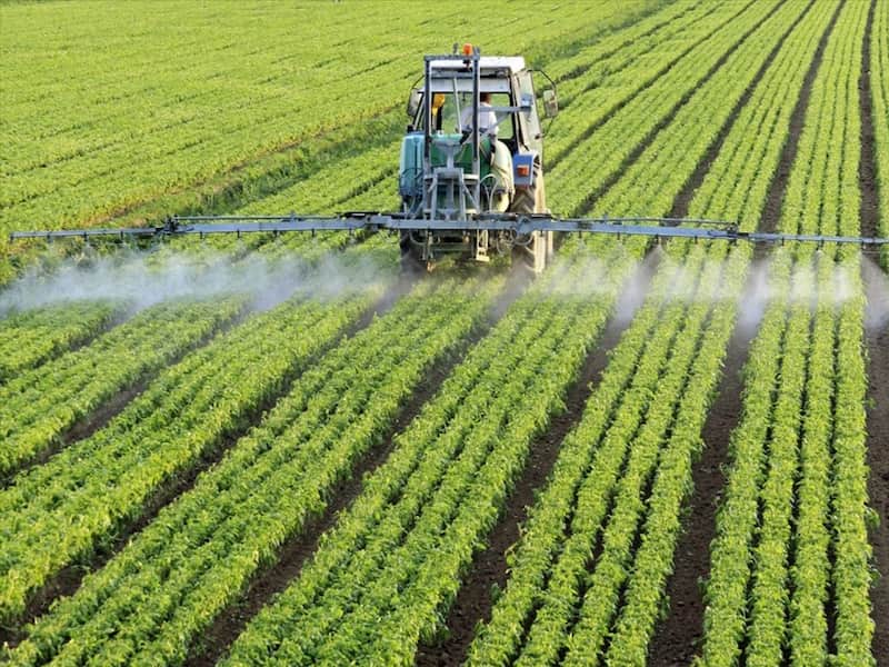 Intermedios y materiales de plaguicidas